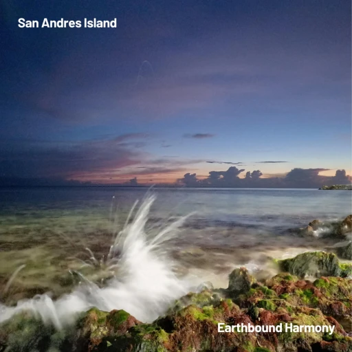 Relaxing ocean sounds